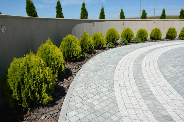 Best Driveway Paving Contractor  in Archie, MO
